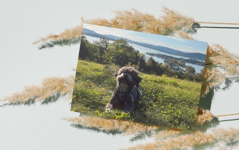 Beautiful postcard illustration